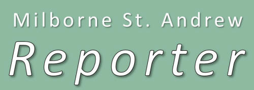 Reporter web Header